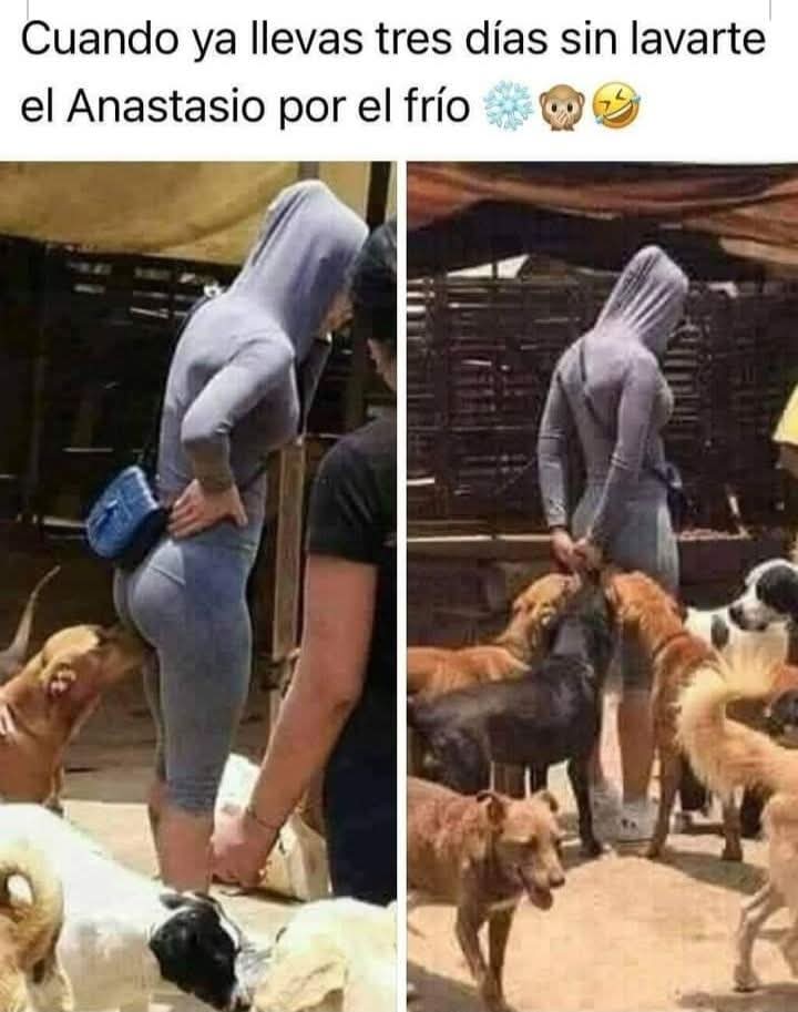 phpeya's tweet image. 🤣🤣🤣🤣🤣🤣🤣