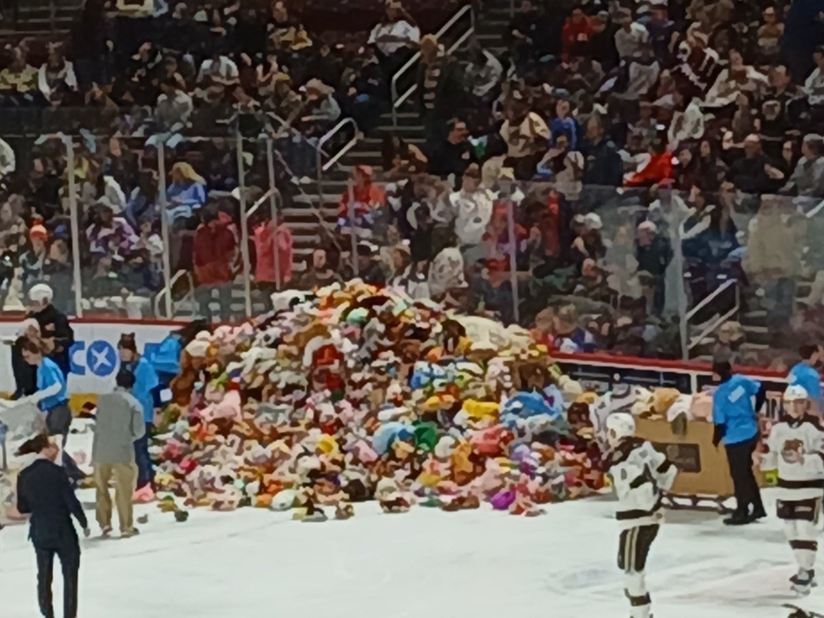 Checked that 1 off my bucket list 
Unforgettable !!    🐻🐻🐻🐻
My bear was so big, it should have had its own ticket