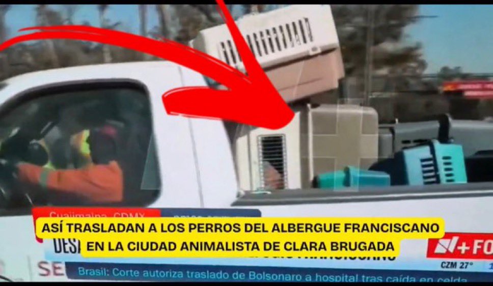 Salem The Cat tweet media