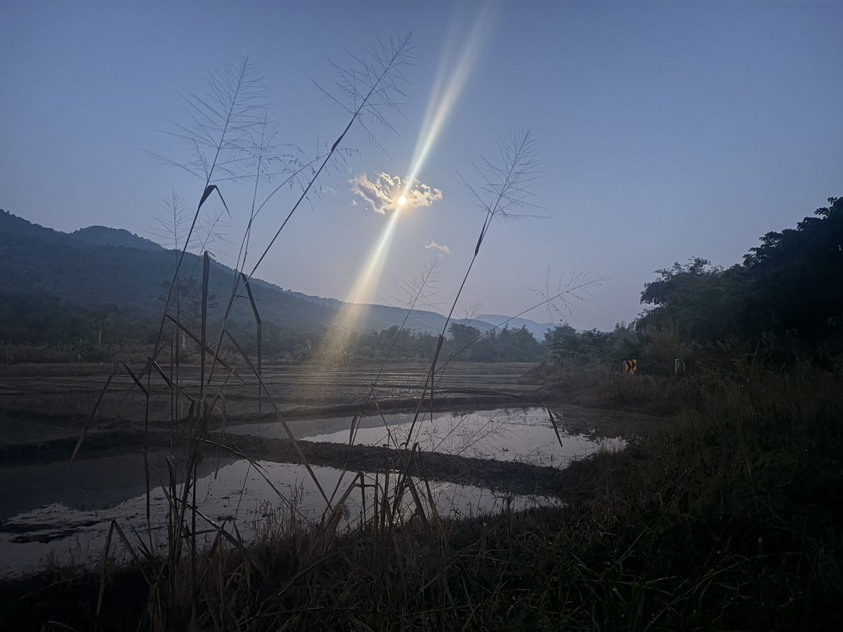 CryptoFerret tweet media