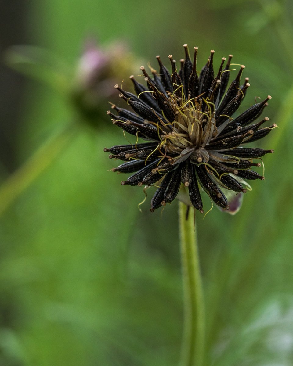 Good morning, everyone! #photography