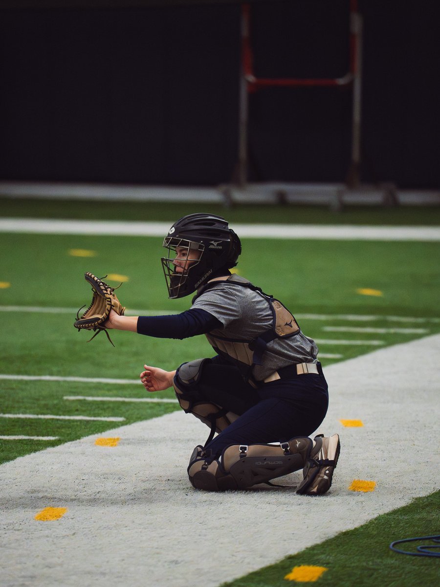 Toledo Softball tweet media