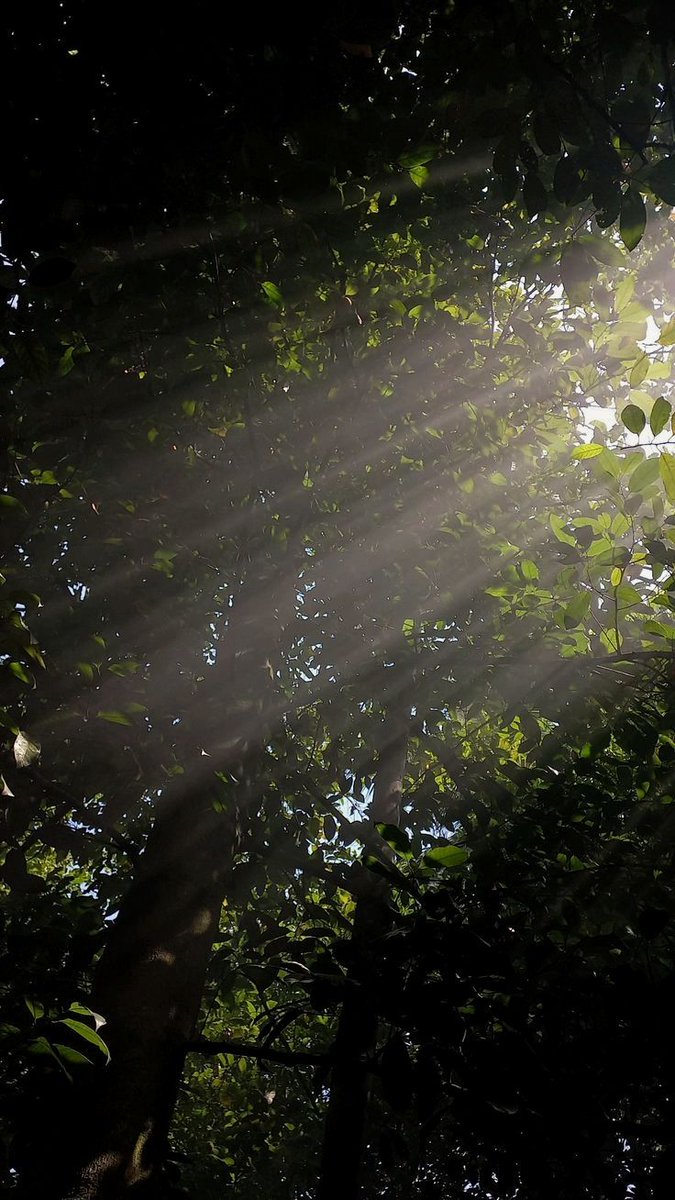 ᅠ ᅠ (@greendreaams) on Twitter photo 