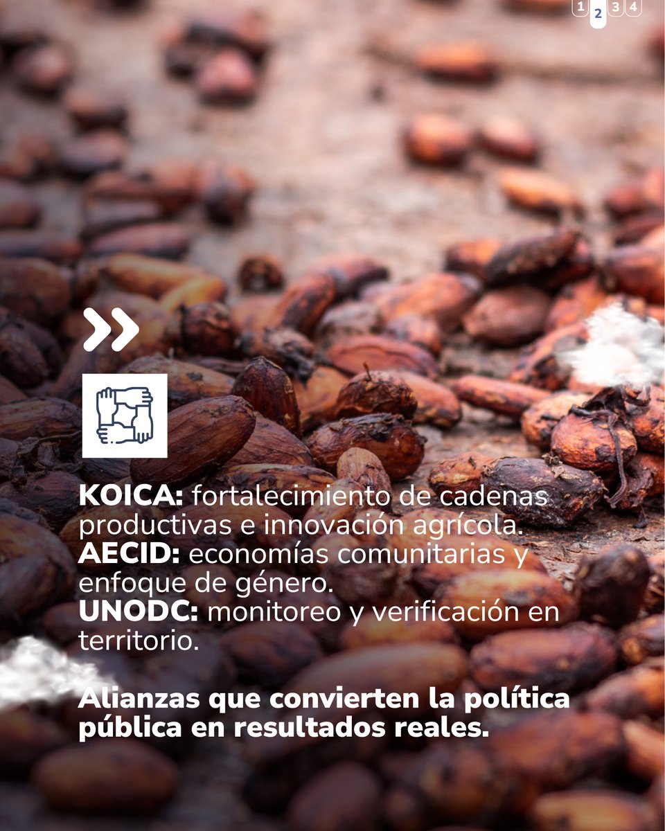 SoySustitucion's tweet photo. En un contexto global complejo para la cooperación, Colombia consolida alianzas que siguen apostándole a la sustitución voluntaria como modelo de construcción de paz.
 UNODC acompaña el monitoreo y la verificación en territorio.
 KOICA impulsa cadenas productivas e innovación agrícola.
 AECID fortalece economías comunitarias y el enfoque de género.
Además, países como Uruguay, Costa Rica y México estudian el modelo colombiano por su alcance territorial y su enfoque integral.
La sustitución es política pública, sí, pero también es resultado, alianza y aprendizaje regional. 💚
#RenHacemos #CooperaciónInternacional #SustituciónVoluntaria #PazTerritorial