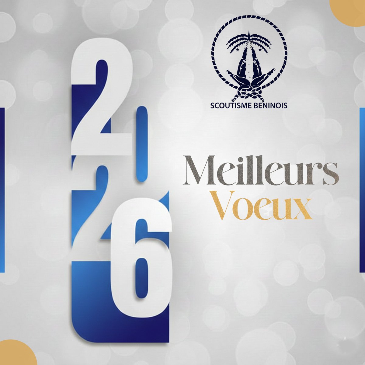 Scoutisme Béninois tweet media