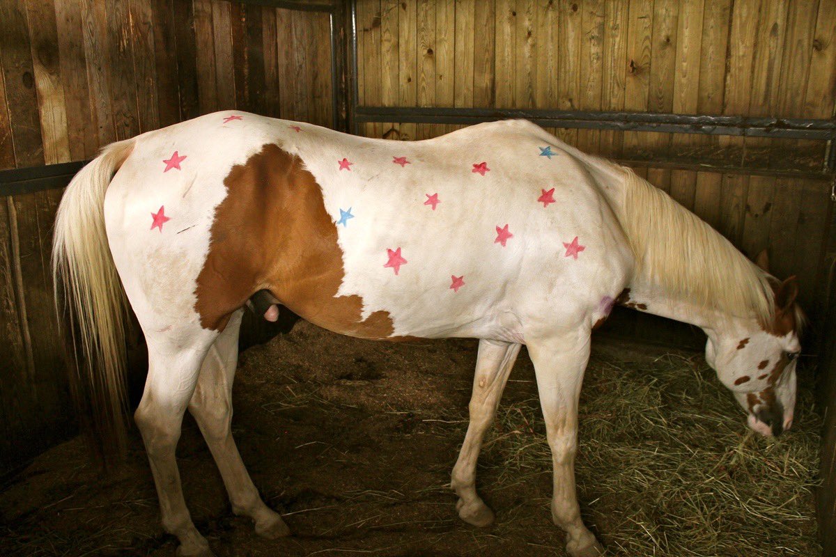 gal౨ৎ (@prtygal777) on Twitter photo 