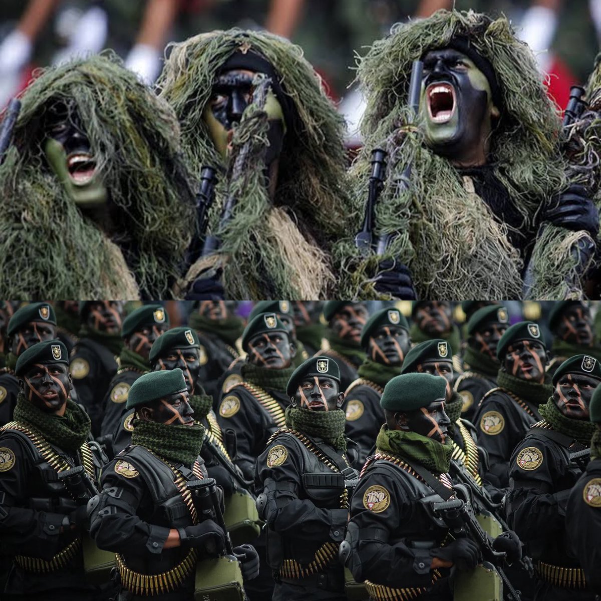 🇲🇽 México tiene a las Fuerzas Especiales más respetadas de América Latina.

Las fuerzas especiales mexicanas están entrenadas para operar en selva, desierto, montaña y zonas urbanas. Muchos de sus elementos reciben adiestramiento nacional e internacional, con estándares similares