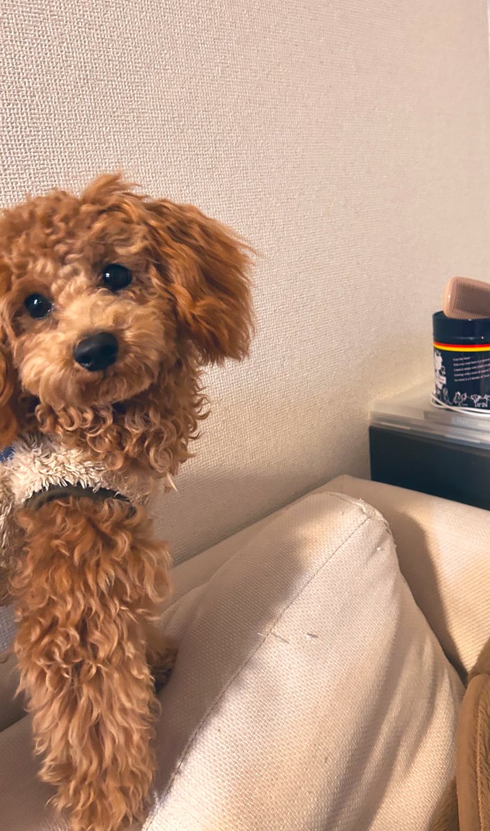 かずちゃん (@kazu13chan) / Posts / X