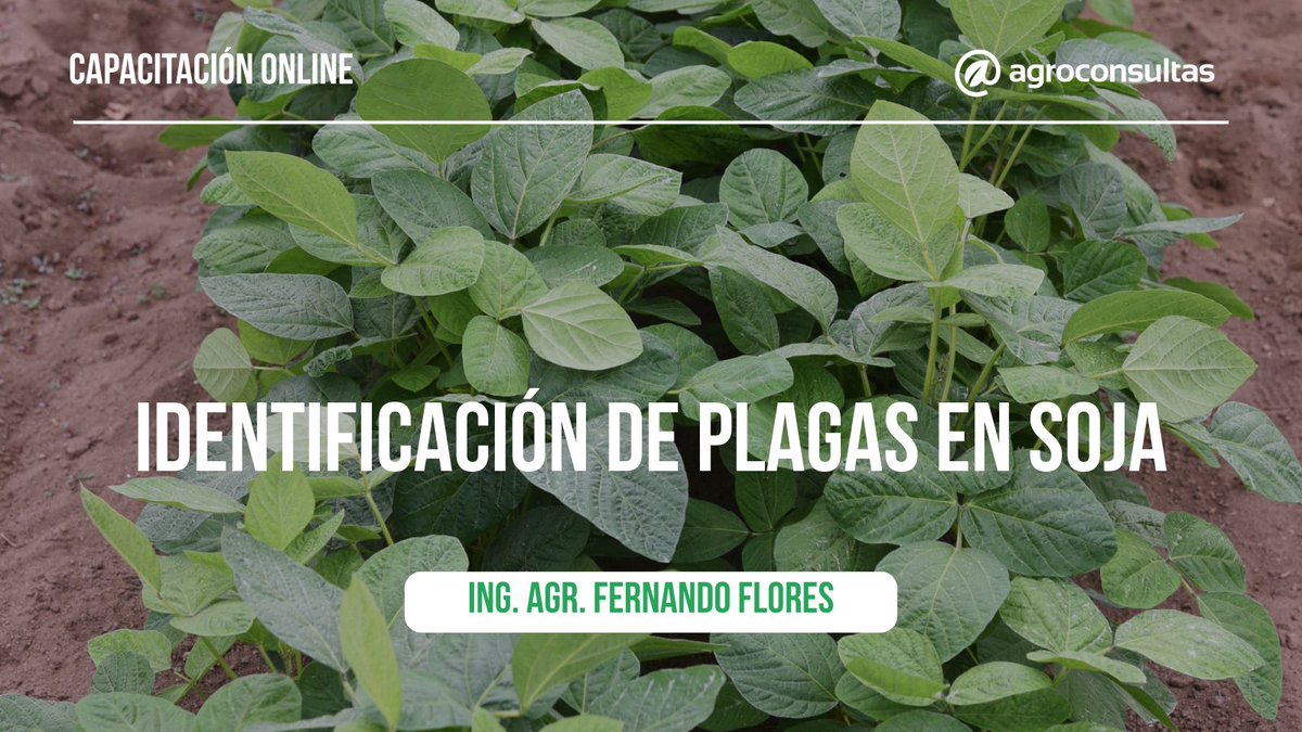 Información práctica y actualizada para tomar mejores decisiones 🌾🚀

🙋‍♂️ A cargo del Ing. Agr. Fernando Flores
🌱 Esta capacitación te brindará elementos para reconocer las principales plagas de soja, aspeco básico para definir las medidas de acción.

👉🏻 agroconsultas.online/3Q6lFm