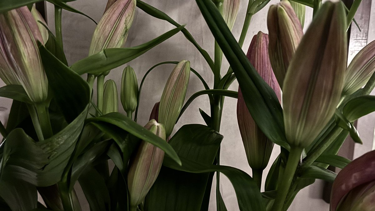 vqx_3's tweet image. The hardest waiting