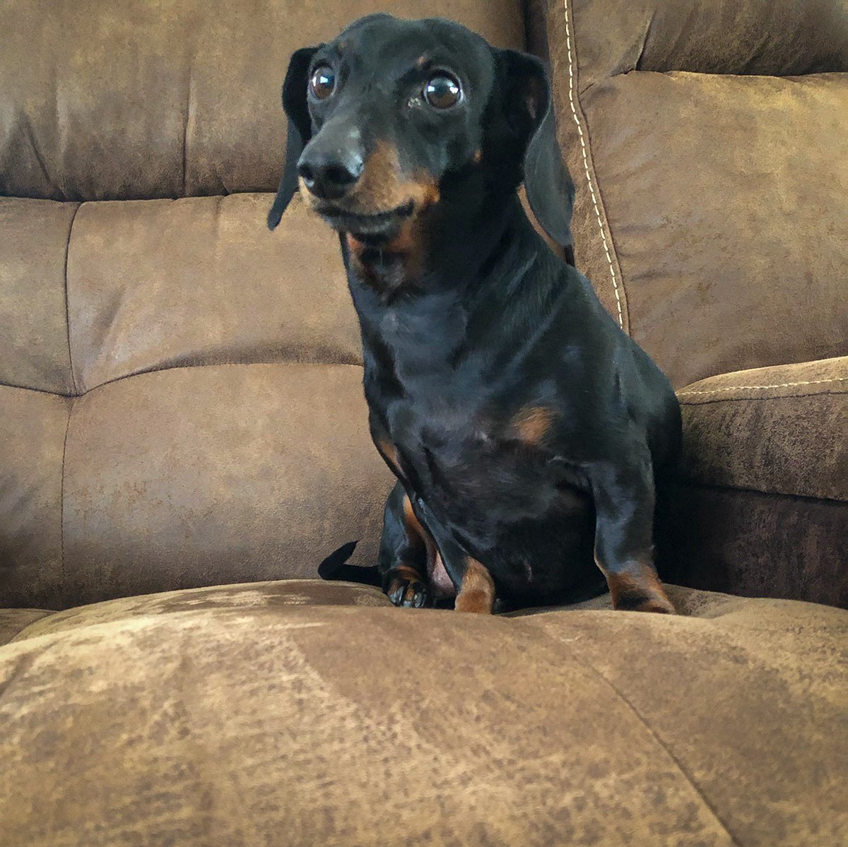 DragonVP📷 tweet media