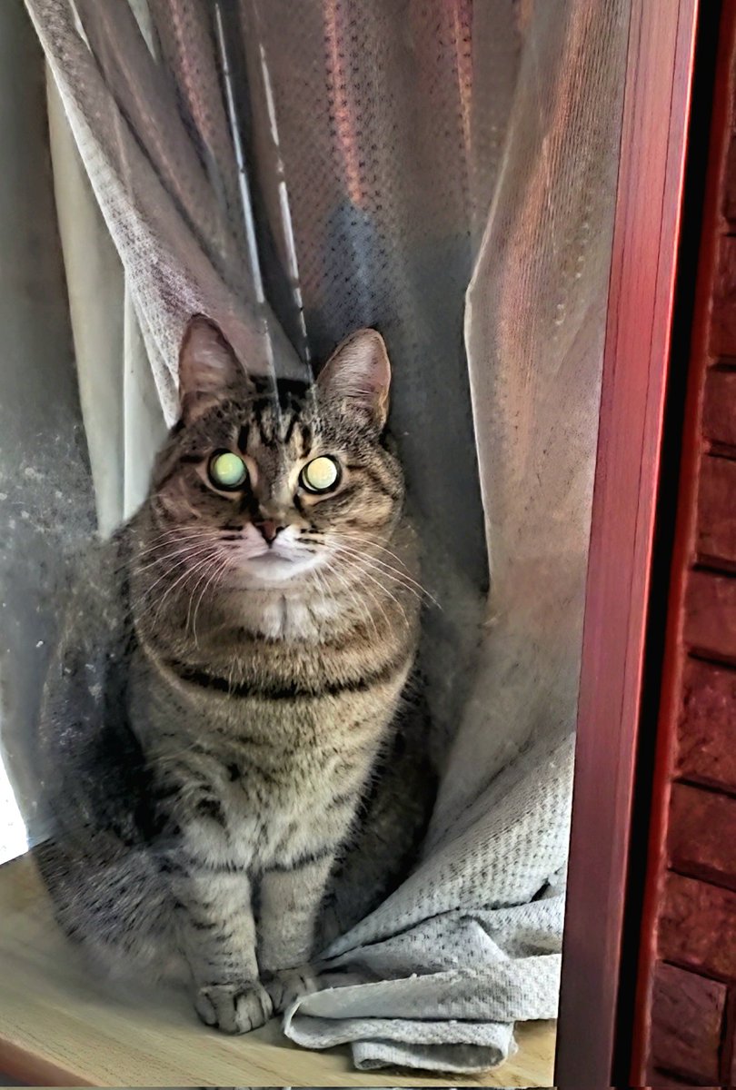 みーちゃん (@pon3767) / Posts / X