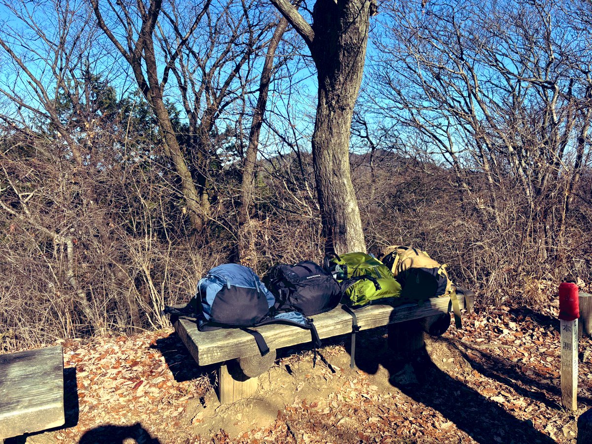 Grotle274's tweet image. 寒かった