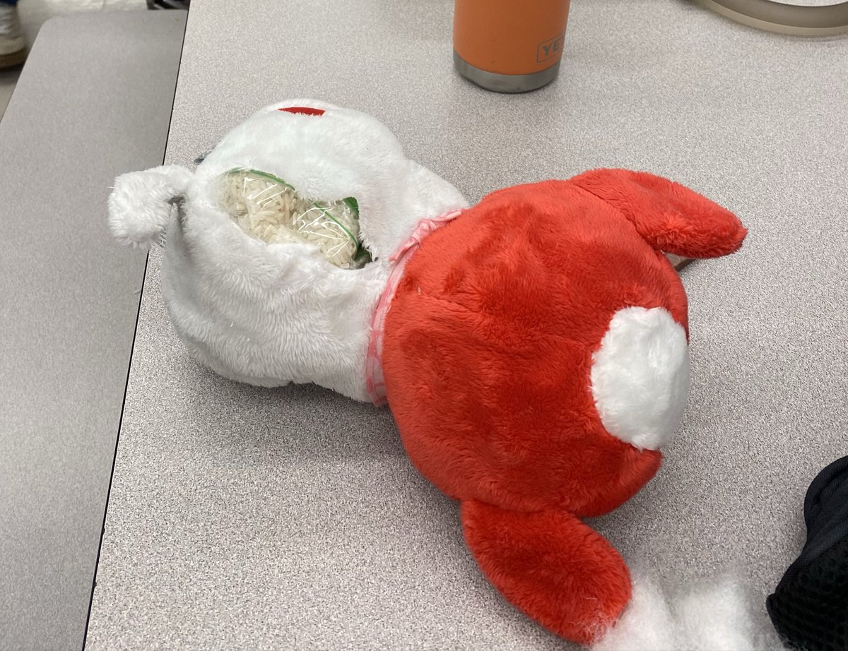 SMCISDsped's tweet photo. Our ACL IAs enjoyed making weighted stuffed animals during the make and take portion of professional development. https://t.co/J0BqHxd7G5