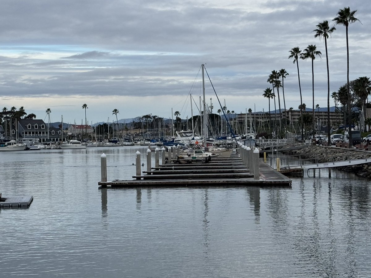 #Oceanside #OceansideHarbor #Sailboats