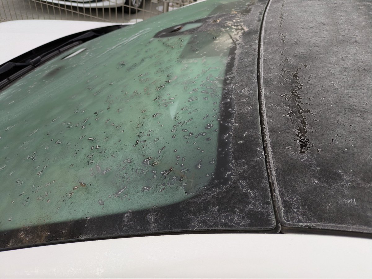 いっしー (@issie) / Posts / X