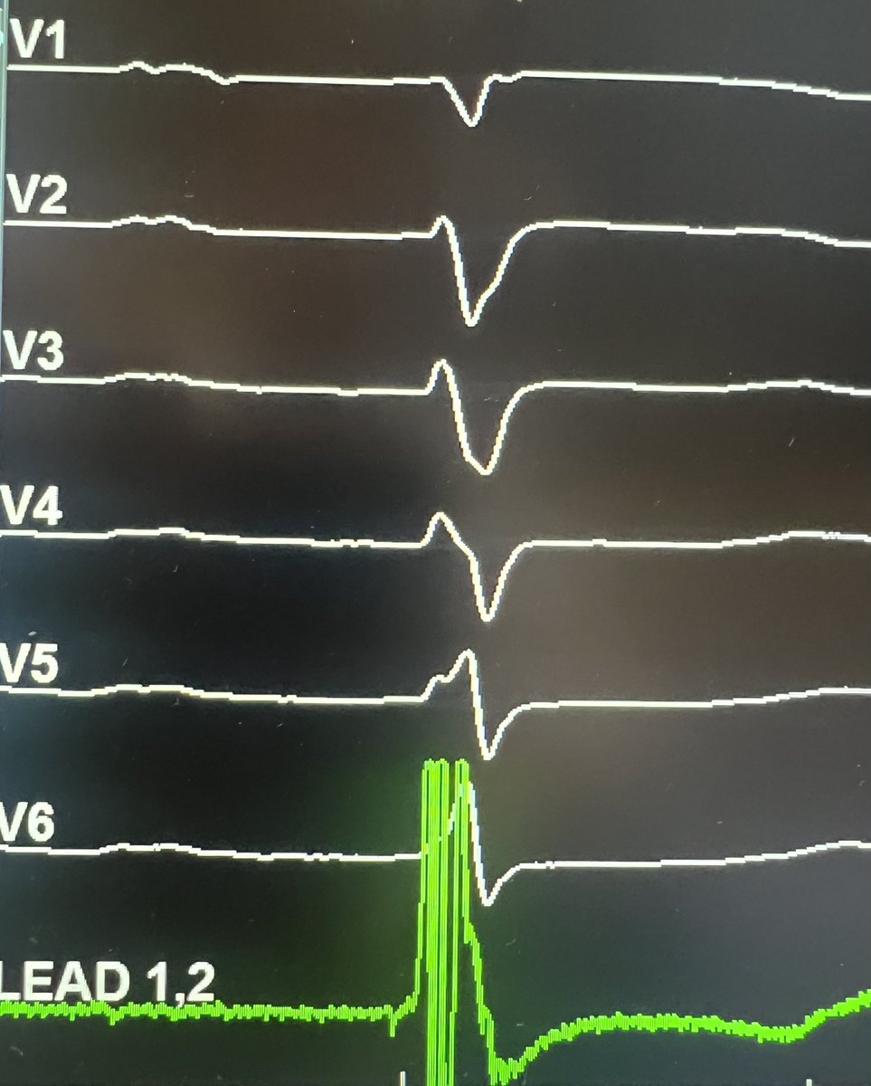 Roderick Tung tweet media