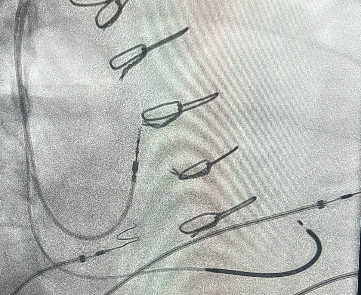 Roderick Tung tweet media