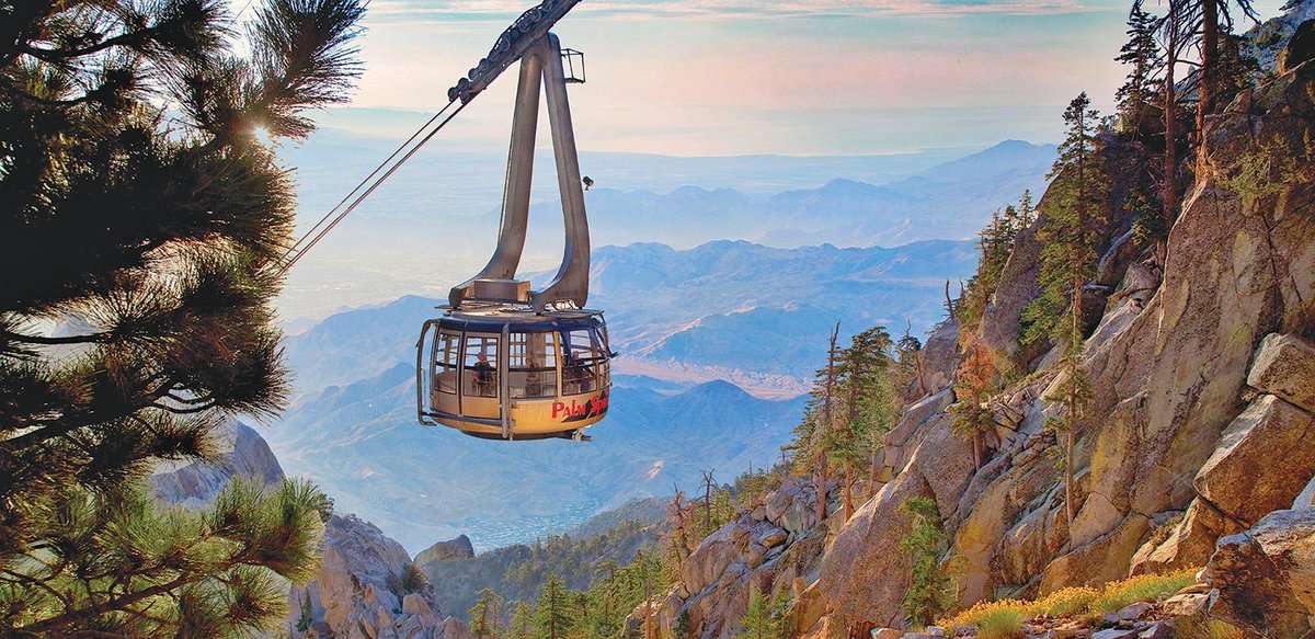 AnneMillsMD's tweet image. Starting to book side quests for our Palm Springs Course... did you know you can take an aerial tram up the mountains right from downtown? So fun! 
@JLHornick
@natasharekhtman
@rondell_graham
@Williamson_SR
@CollinsLauraC
want to go for a ride?