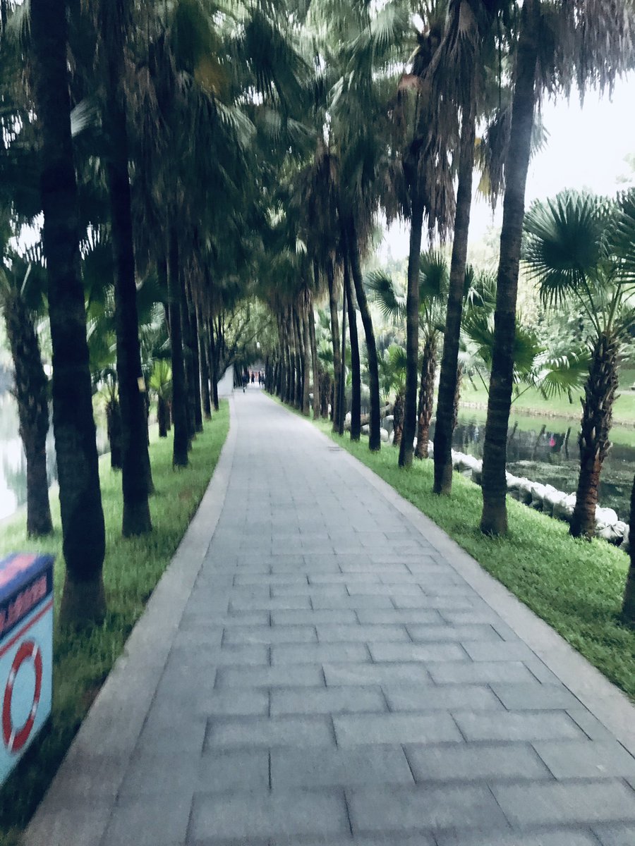 yan782878's tweet photo. 好久好久没出去走走了，也好久好久没跟人社交了，太社恐了，不敢跟人��话 https://t.co/32GIGKq6bW