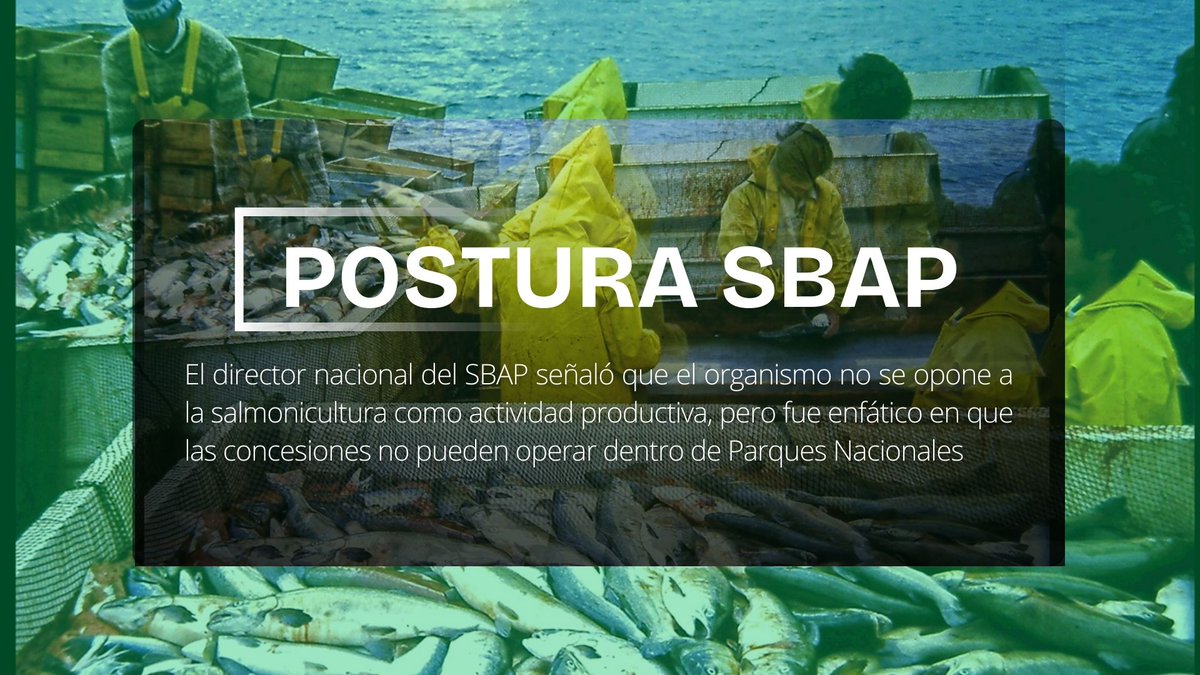 El director nacional del SBAP señaló que el organismo no se opone a la Salmonicultura como actividad productiva, pero fue enfático en que las concesiones no pueden operar dentro de parques nacionales.