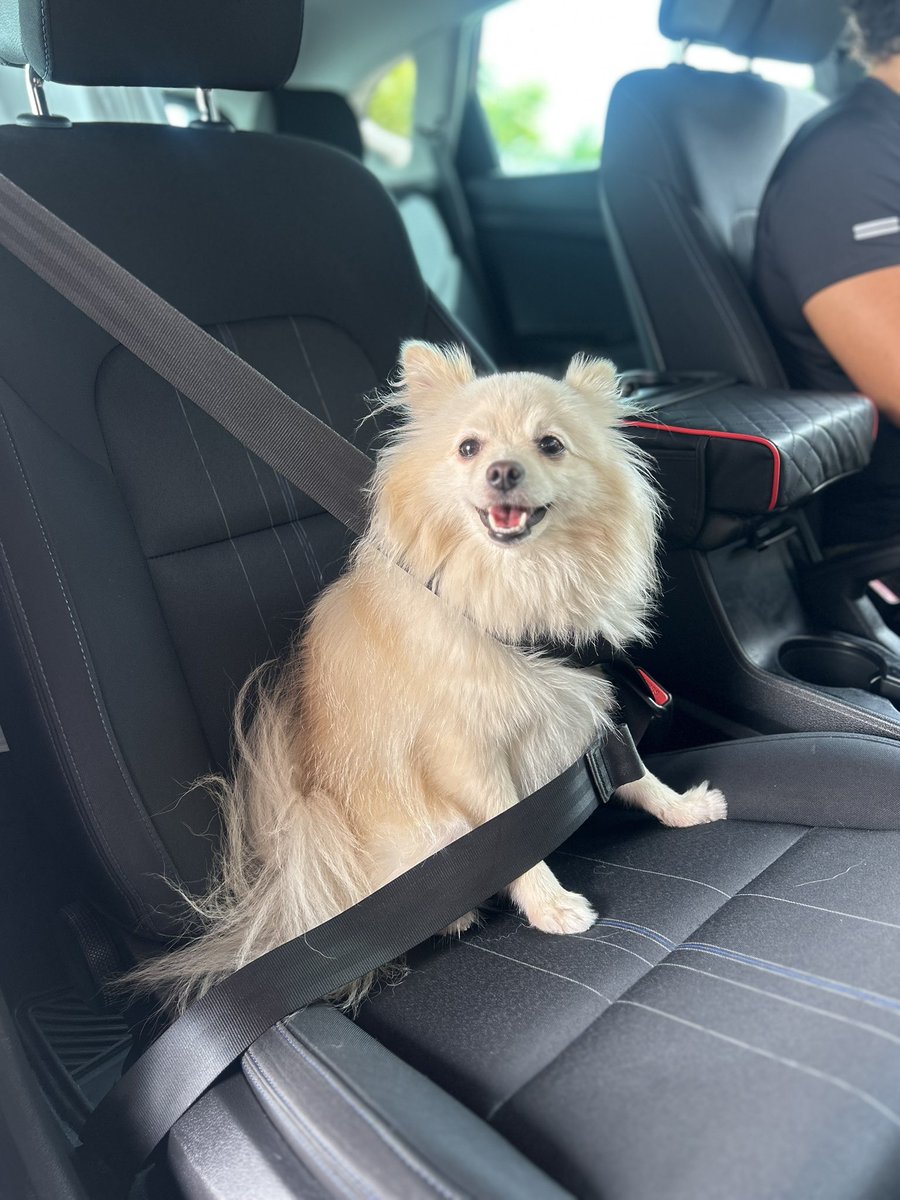 rafapachecoe's tweet image. 