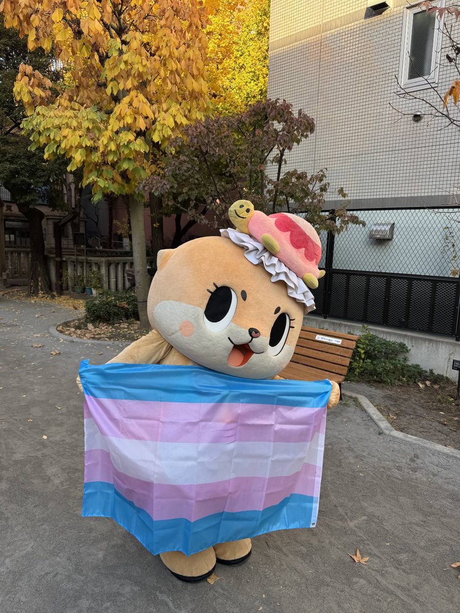 @iindieee_ thank you good question✨
Chiitan loves good transgender people🏳️‍⚧️
In today's world, even making these kinds of statements will get you slandered, but I think it's more important to create a world where transgender people can live peacefully and be themselves, so I will continue