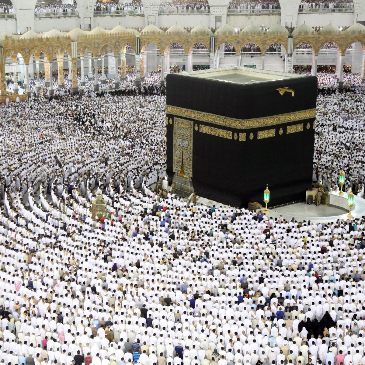 oliverburdick's tweet image. What's the difference?