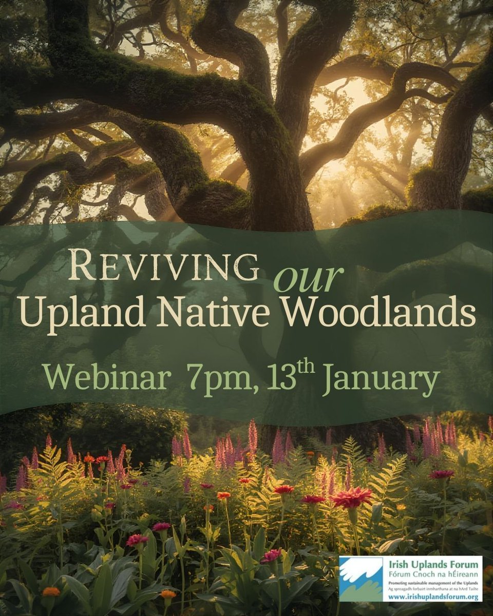 Wicklow Uplands Council tweet media