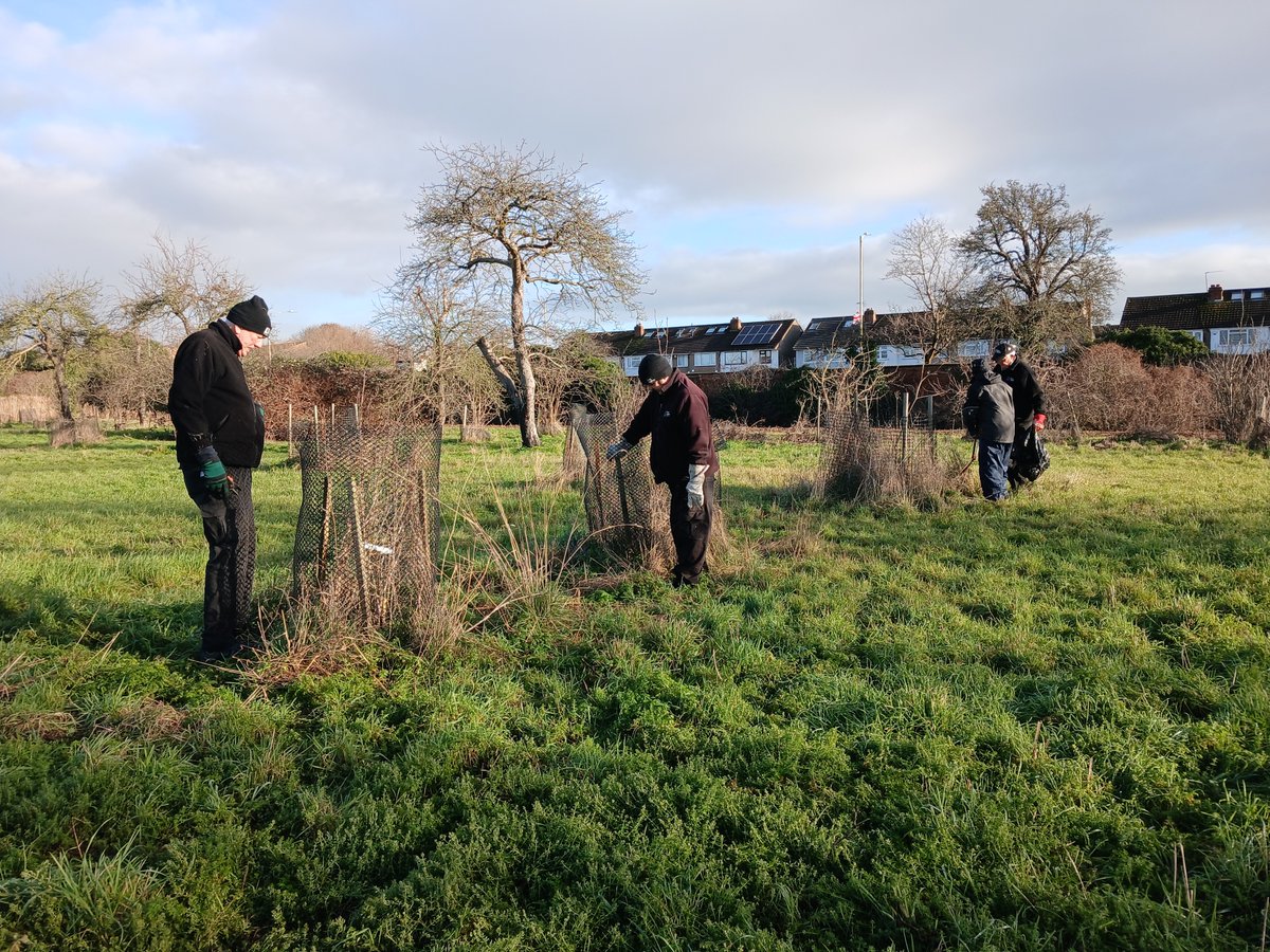 Volunteers Officer tweet media