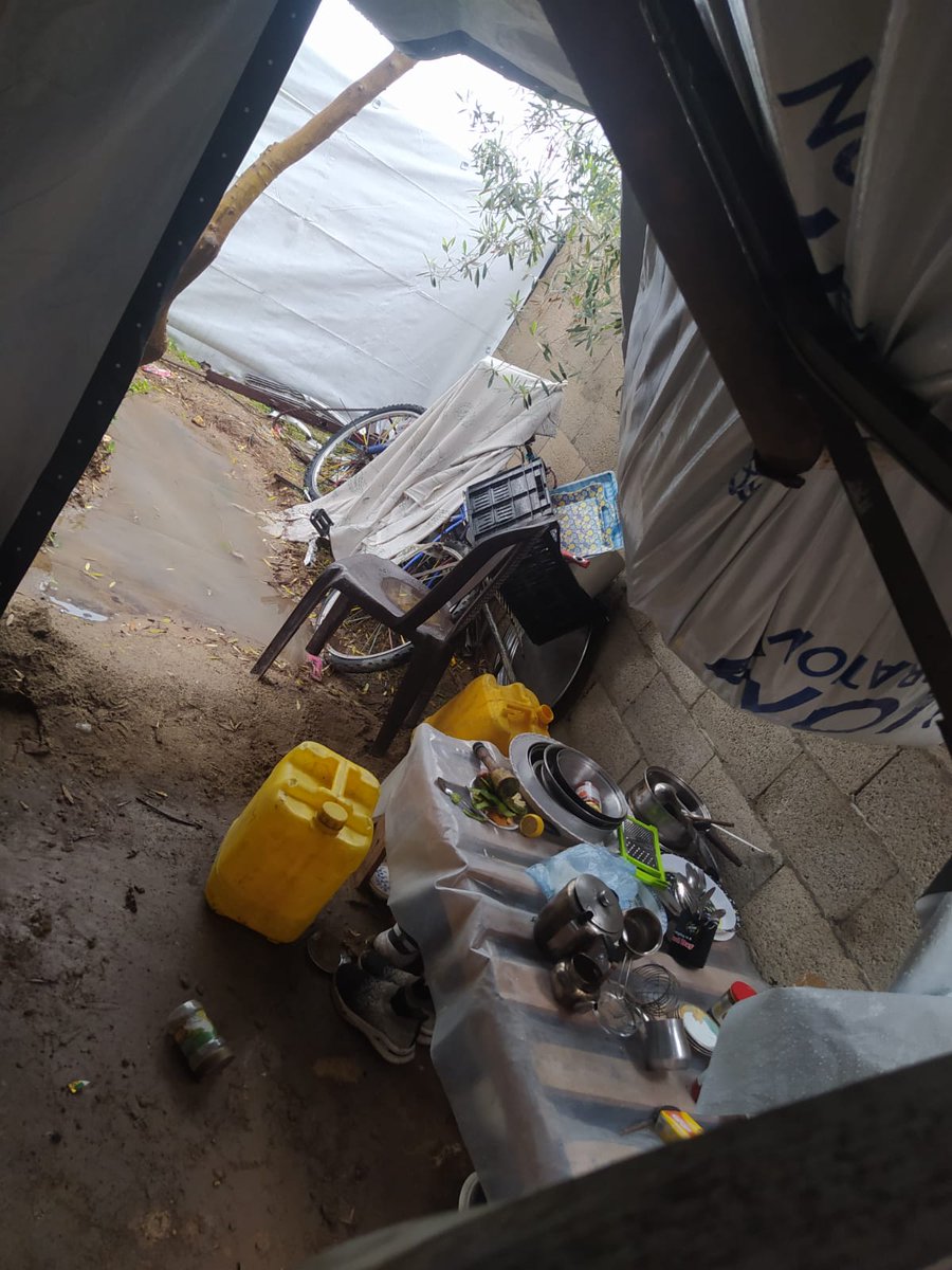 Alaa Lubbad tweet media