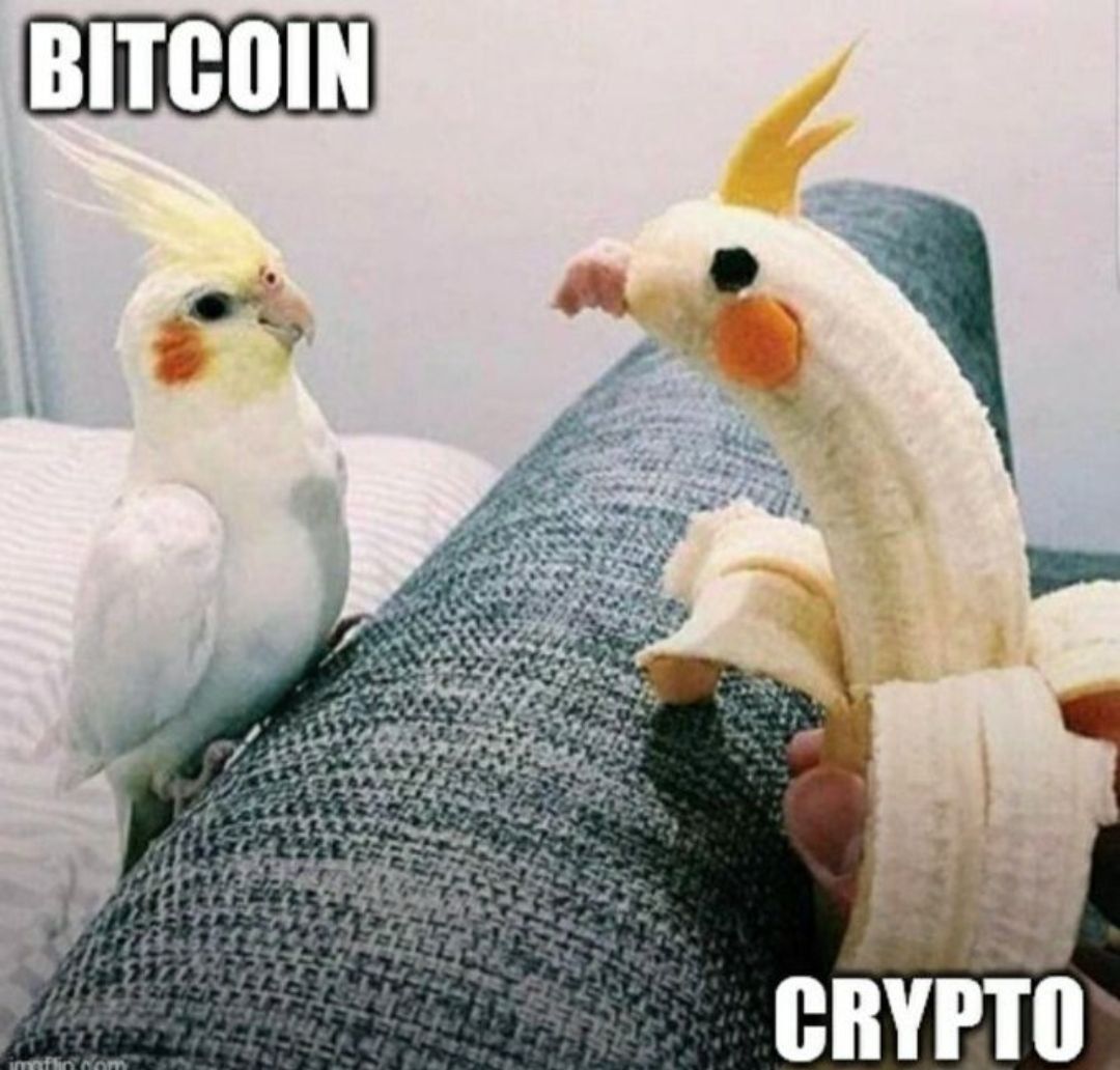 Bitcoin Breakdown ⚡ (@btcbreakdown) on Twitter photo 