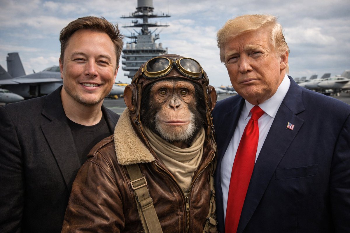 MonkeyAviator's tweet image. Perfect combination! 
@elonmusk @realDonaldTrump @dogecoin @bonk_inu @Shibtoken