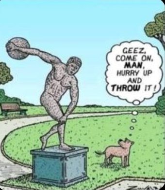 LaughMustafa's tweet photo. πΆ
Geez, come on, man
Throw it! #SoDog π
https://t.co/fpQHhPnLdG