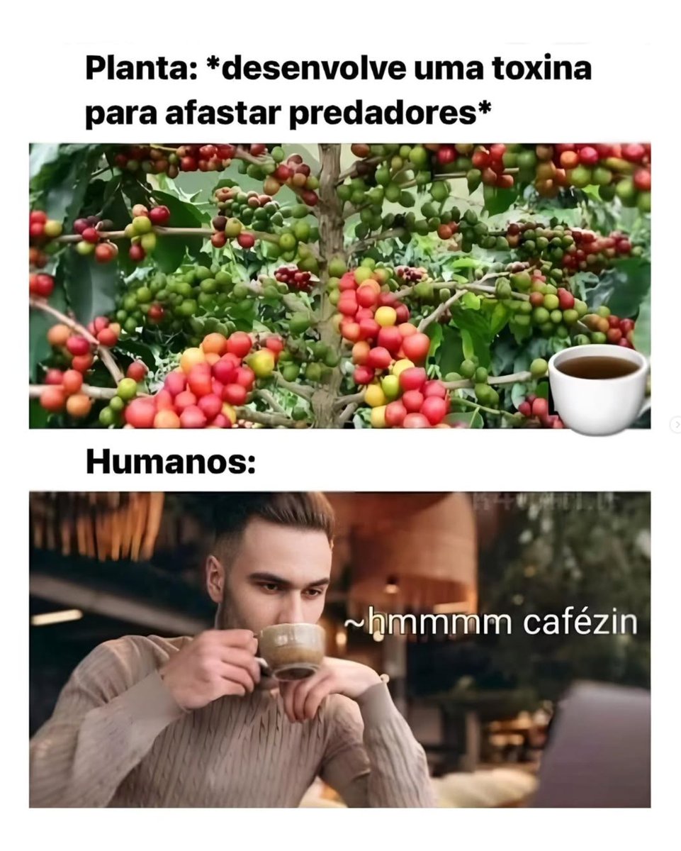 História No Paint tweet media