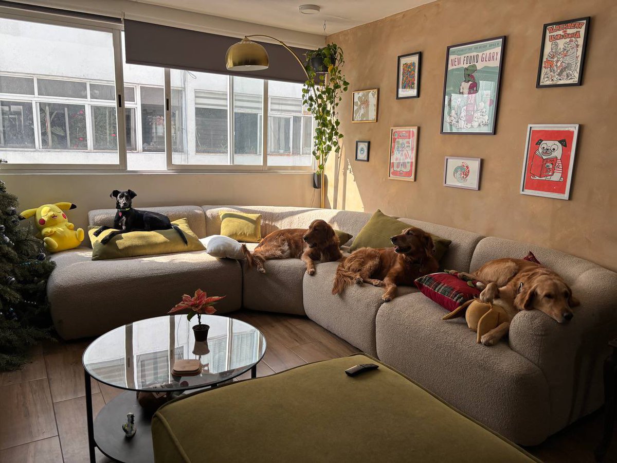Ayer mi casa fueron puros perritos y amigos 💖✨