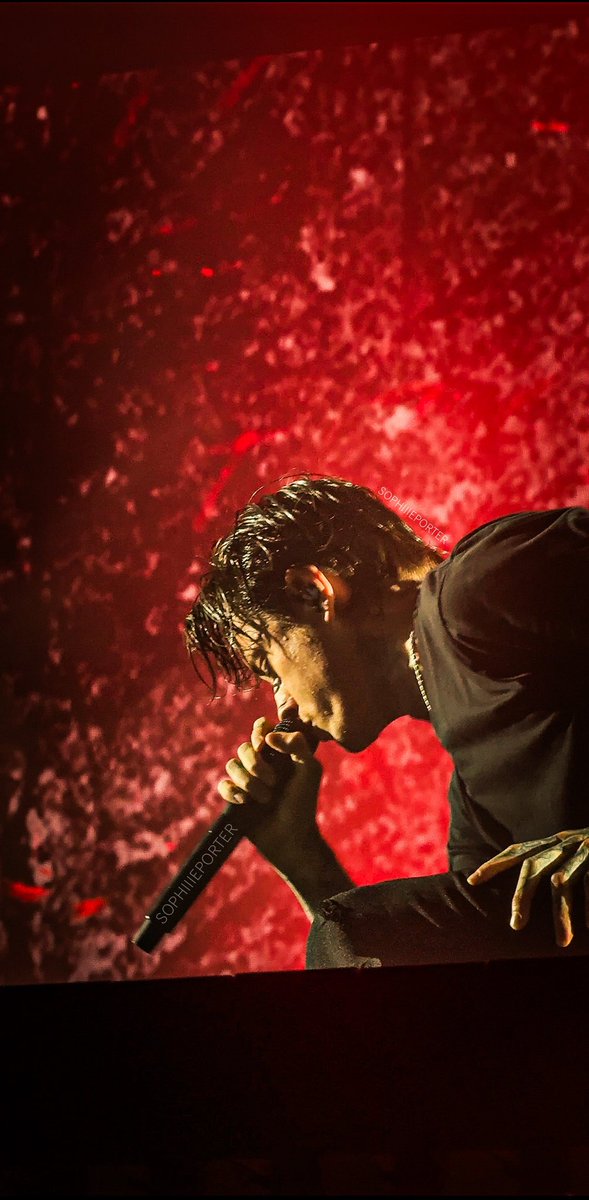 Soph 🕸️ tweet media