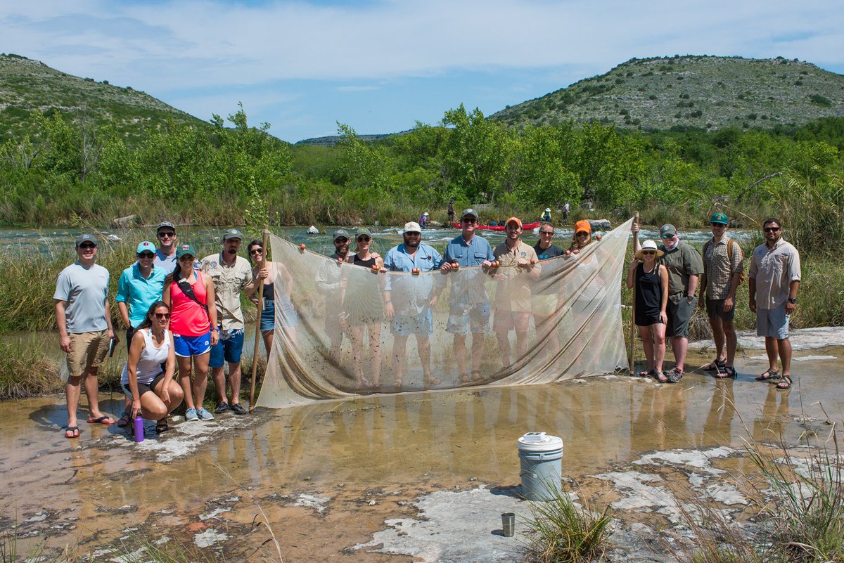 TPWFoundation tweet media