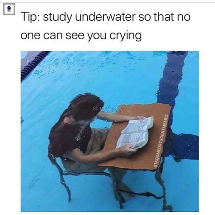 aya goes to ipb tweet media