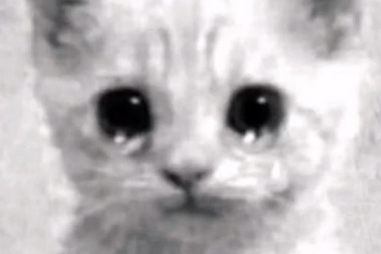 pingandosangue's tweet image. "nem todo relacionamento acaba em casamento, alguns te ajudam a descobrir novas musicas"