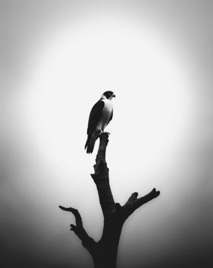 .

         من لا يودّك وش تبي به تودّه.

                                        .           🥀✨

.