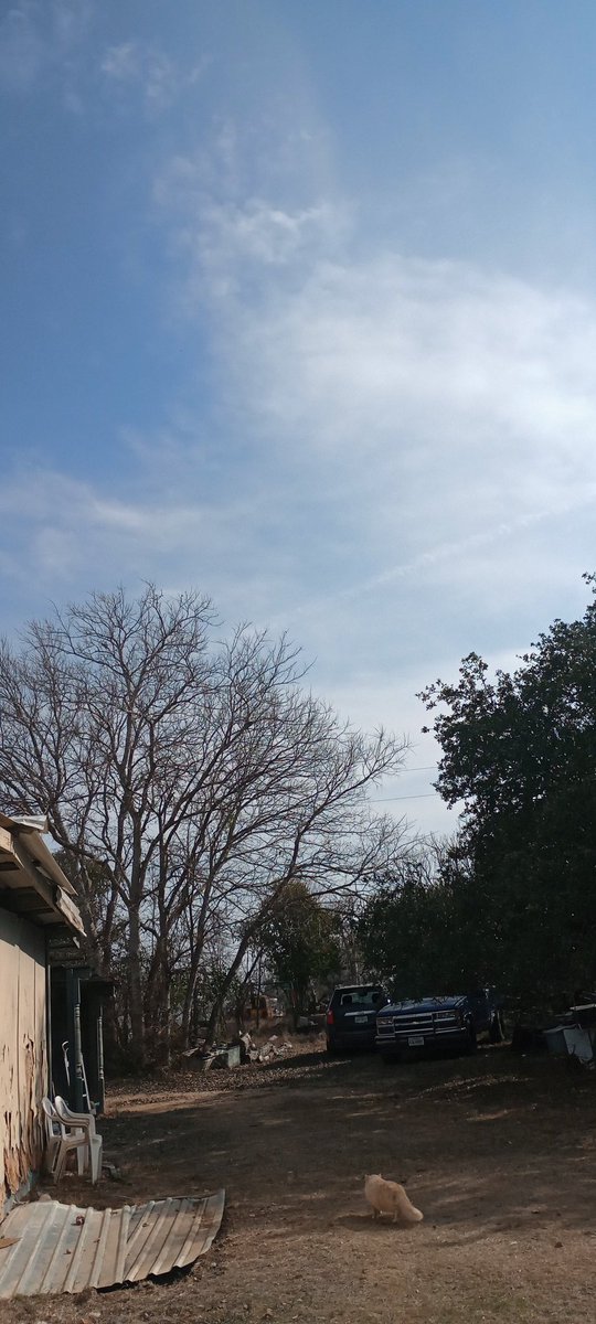 Pollen898280472's tweet photo. It's January 7, it's almost 80° here in the Texas Hill country . And they want to call this fog . No , it's a chemical induced haze that smells like metals , pool chemical store , make it make sense . Stop spraying our damn skies ! People look up this is not normal ! https://t.co/kEqicps97T