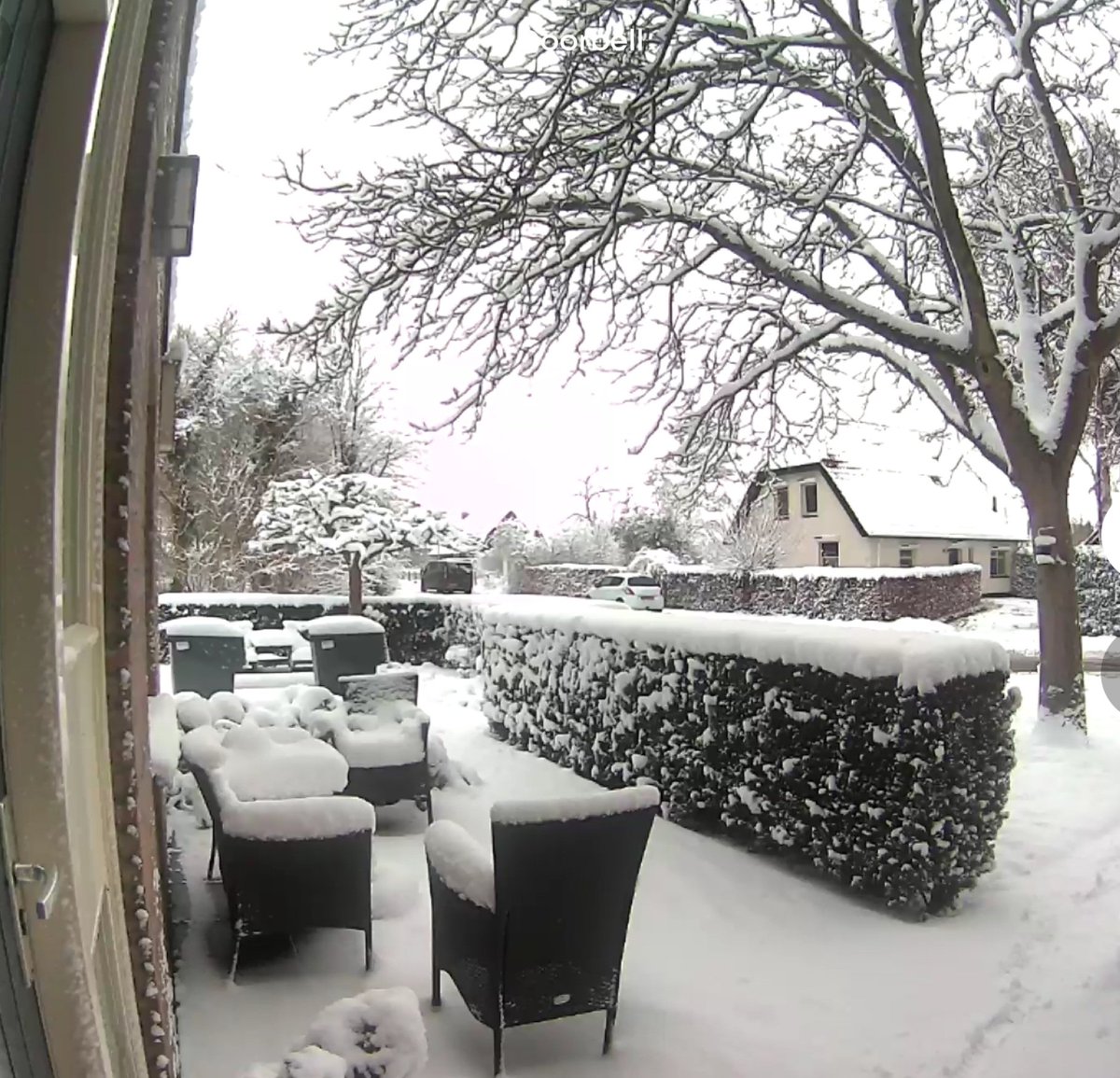 Zelda & Bandita tweet media