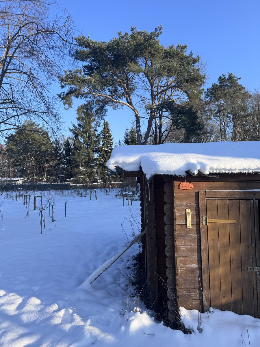 be_erasmus's tweet image. Winter im Schulgarten