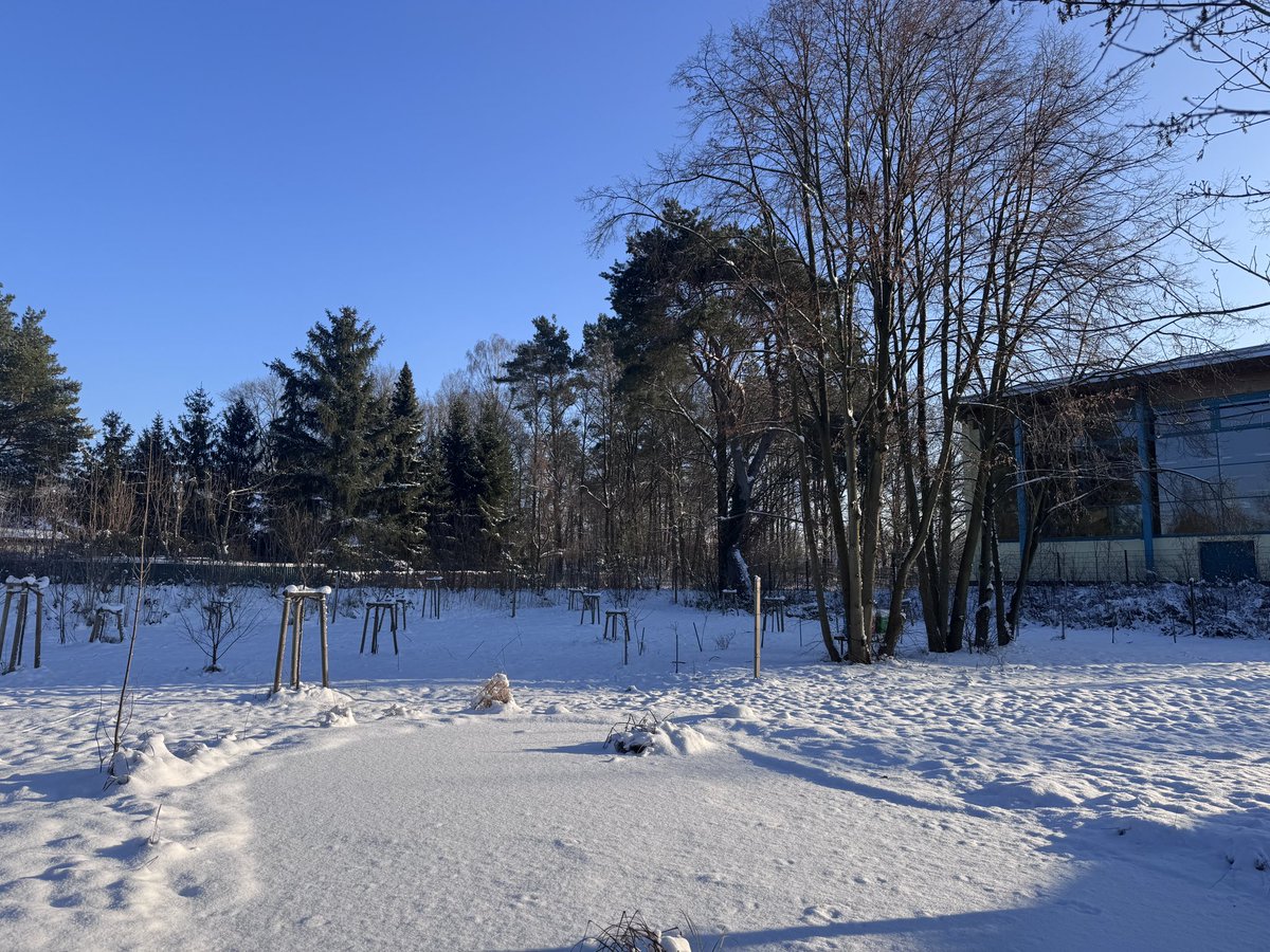 be_erasmus's tweet image. Winter im Schulgarten