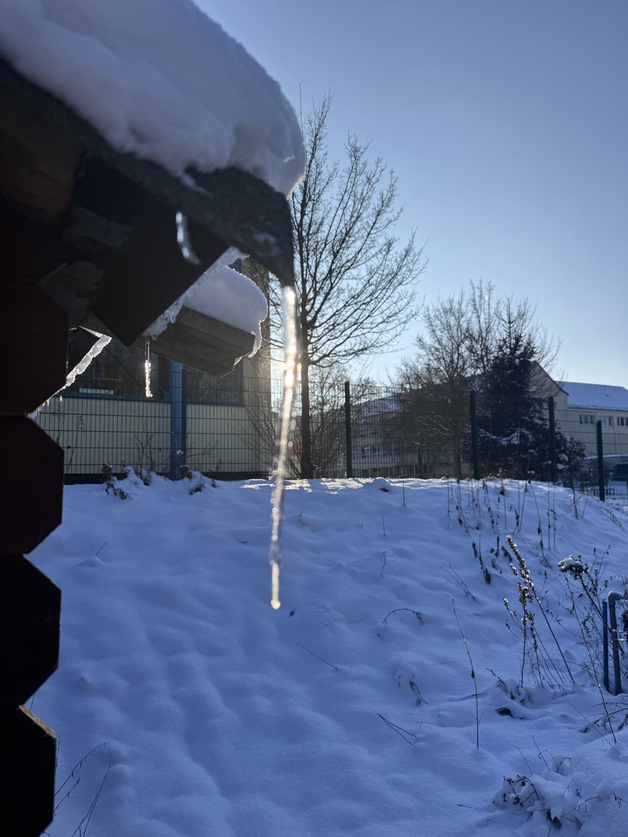 be_erasmus's tweet image. Winter im Schulgarten