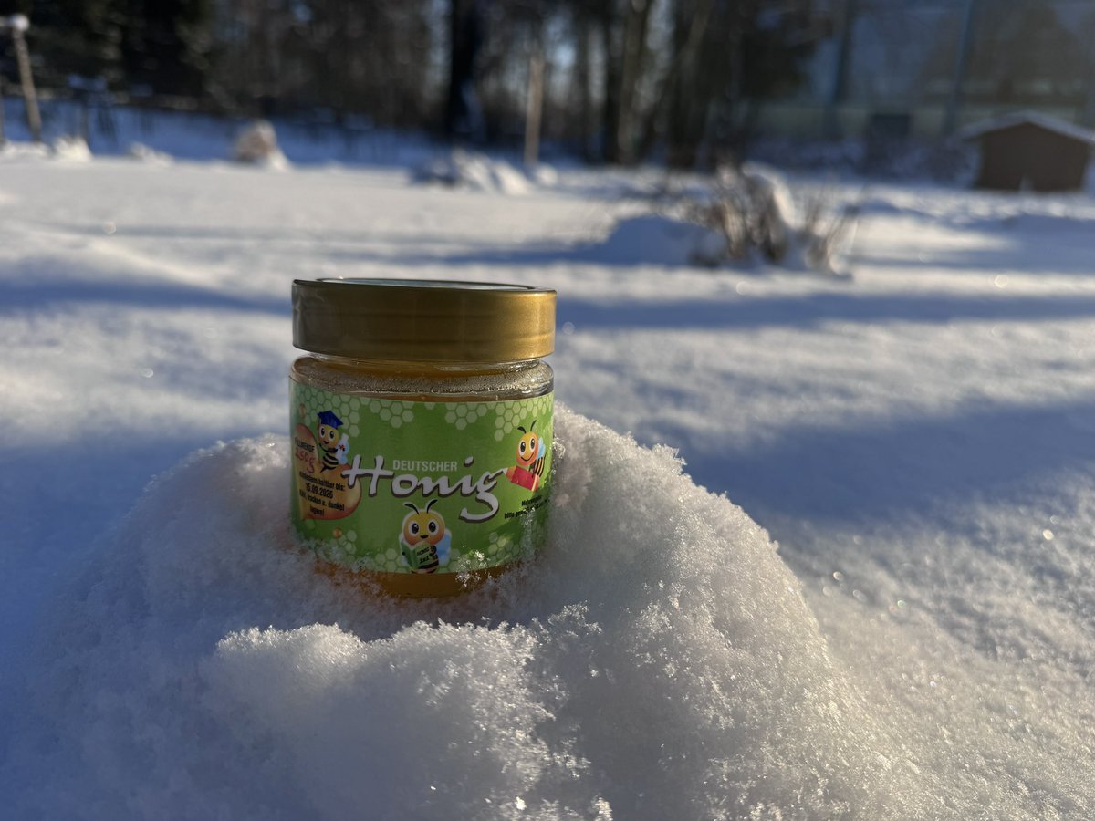 be_erasmus's tweet image. Winter im Schulgarten