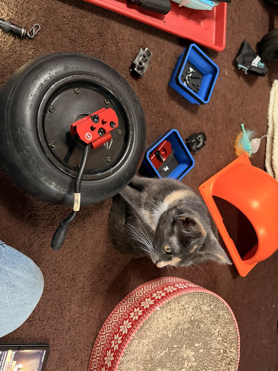 Enigmakidd's tweet photo. Back to modding my board 
Got a helper with me this time :) https://t.co/aOhxLA6I0w