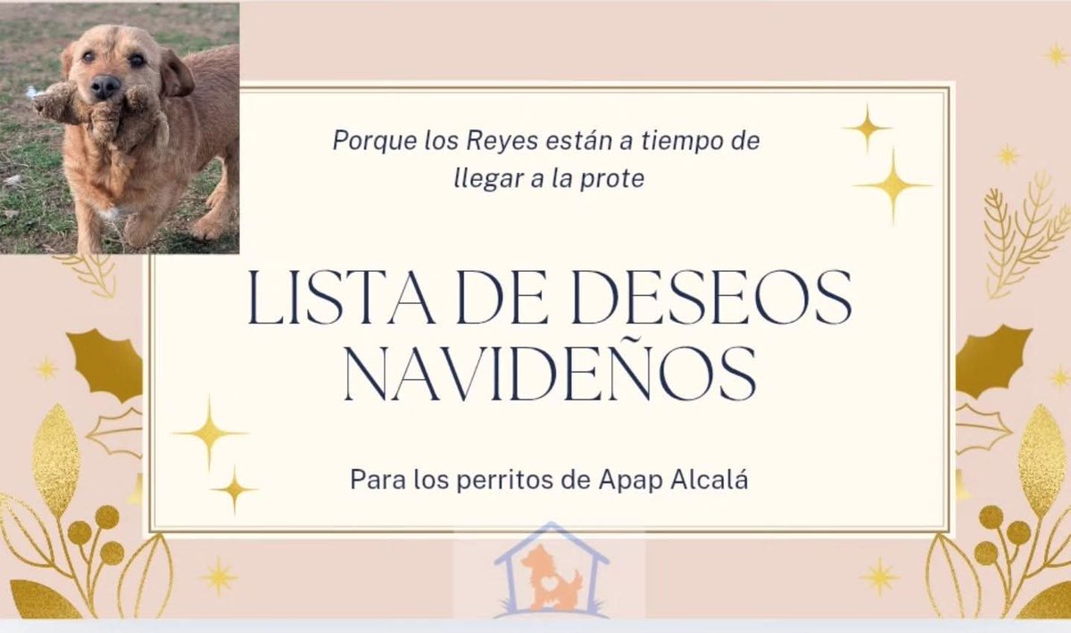 APAP Alcalá tweet media