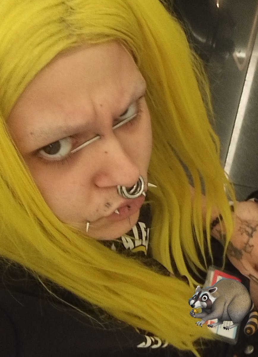NOXFERATU ☆ elle 🦇 tweet media